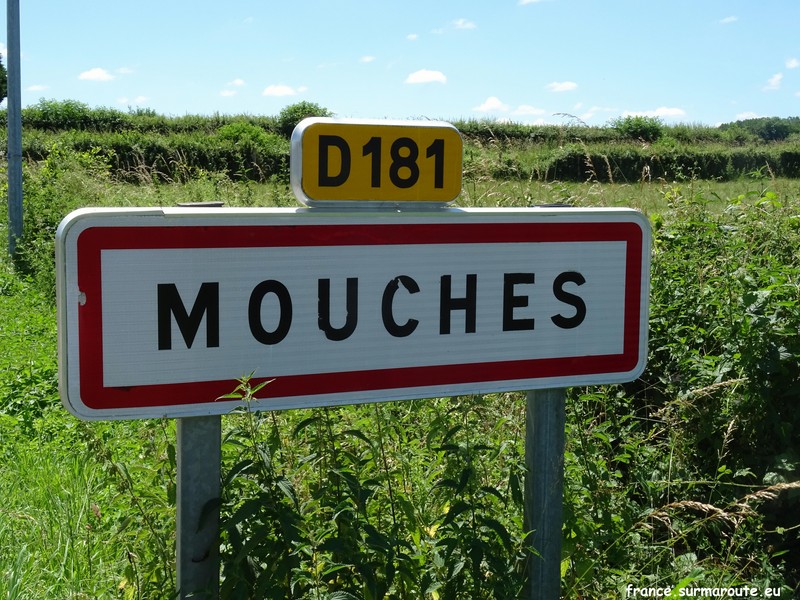 Mouches H 58.JPG