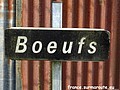 Boeufs H 61.JPG