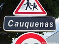 Cauquenas H 48.JPG