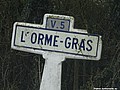 L'Orme Gras H 91.JPG