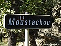 Moustachou H 34.JPG