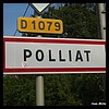 Polliat 01 - Jean-Michel Andry.jpg