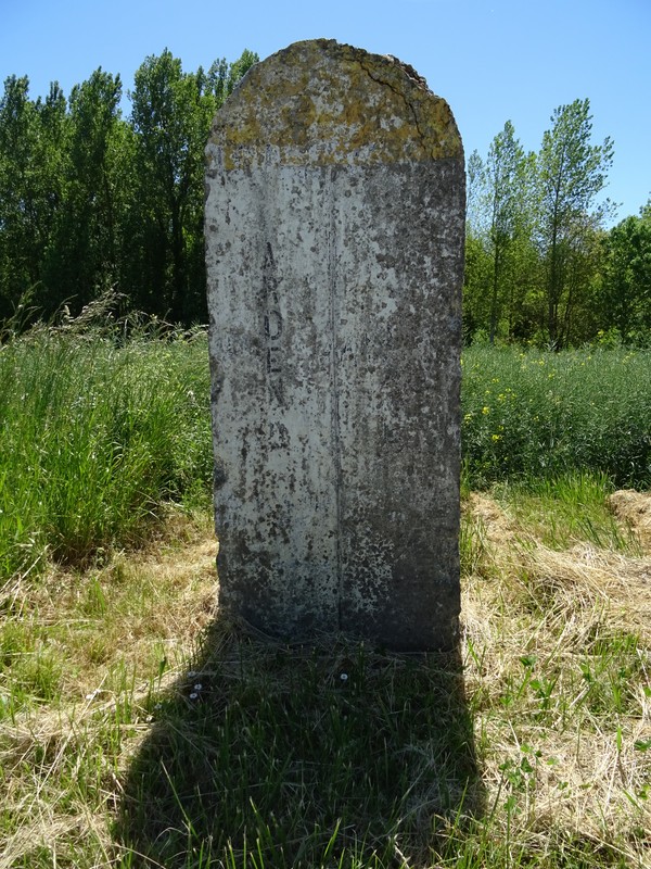 02 x 08 RD 89 x RD 35  .JPG
