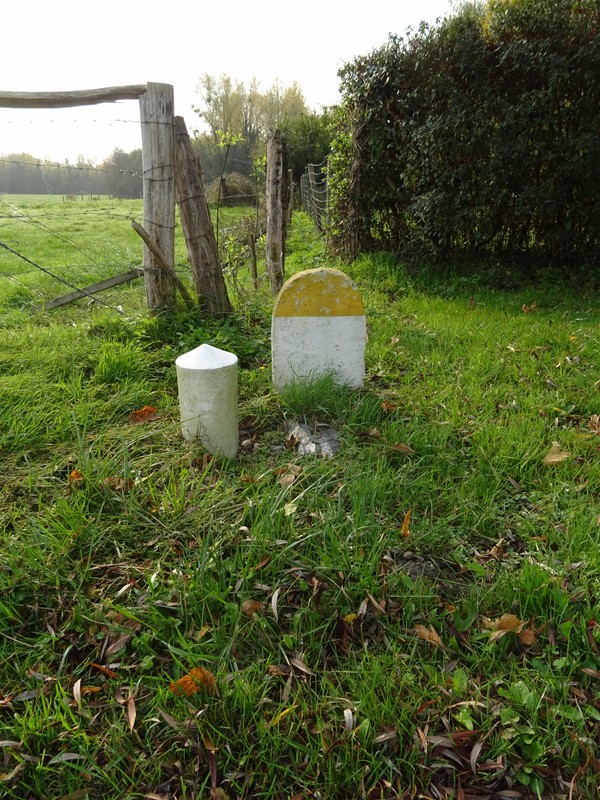 02 x 60 RD 921 x RD 87  Après .JPG