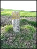 02 x 51 RD 802 x RD 25 .JPG