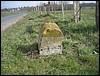02 x 60 RD 921 x RD 87  2.JPG