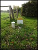 02 x 60 RD 921 x RD 87  Nouvelle .JPG