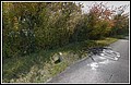 02 x 51 RD 21 x RD 29.jpg