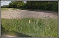 02 x 51 RD 80 x RD 80.jpg