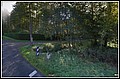 02 x 77 RD 221 x RD 17.jpg