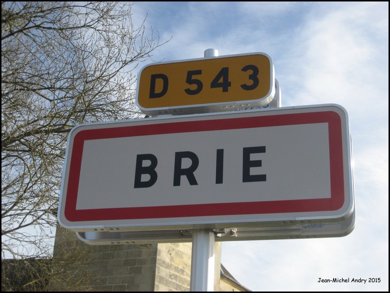 Brie  02 - Jean-Michel Andry.jpg