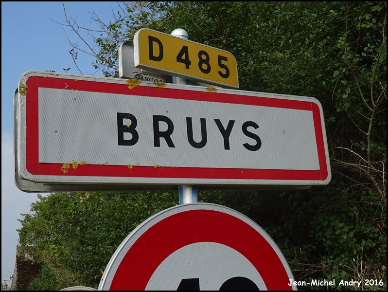 Bruys 02 - Jean-Michel Andry.jpg