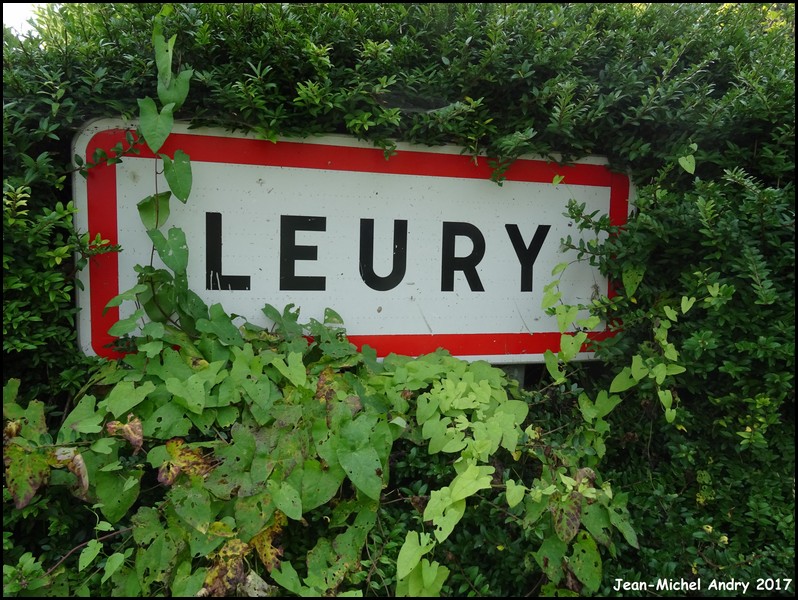 Leury 02 - Jean-Michel Andry.jpg