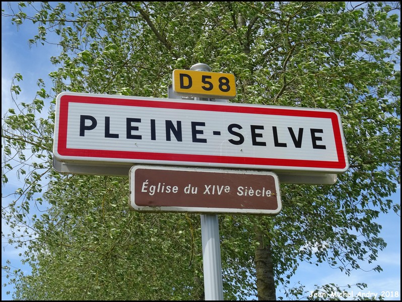 Pleine-Selve 02 - Jean-Michel Andry.jpg