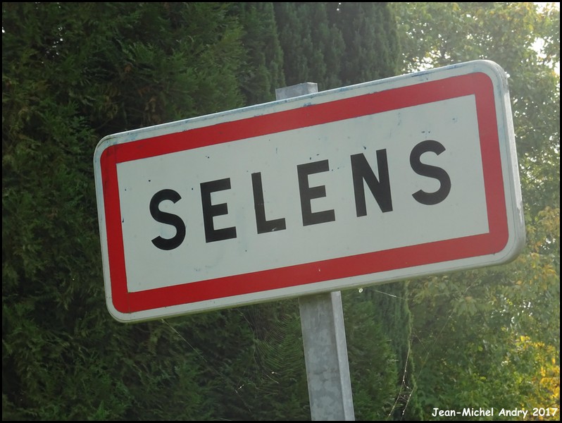 Selens 02 - Jean-Michel Andry.jpg