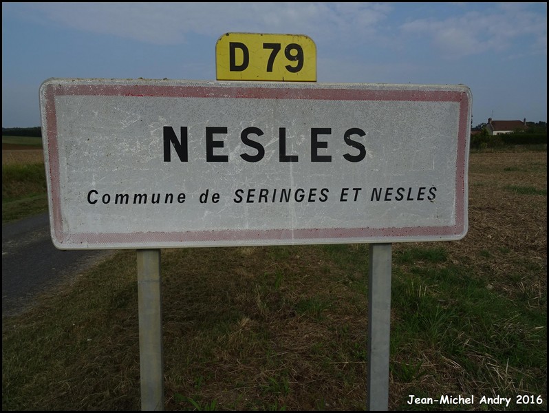 Seringes-et-Nesles 2 02 - Jean-Michel Andry.jpg