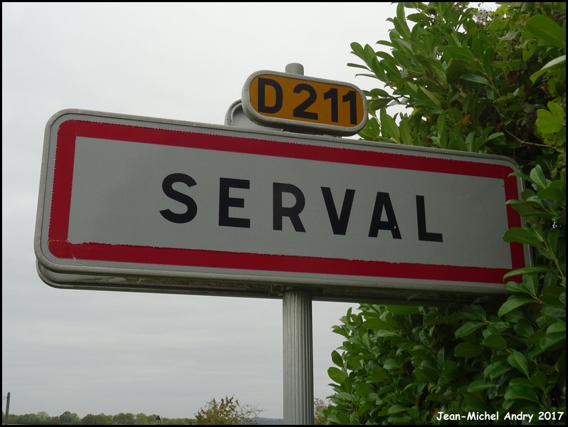 Serval 02 - Jean-Michel Andry.jpg