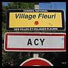 Acy 02 - Jean-Michel Andry.jpg