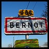 Bernot 02 - Jean-Michel Andry.jpg