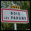 Bois-lès-Pargny 02 - Jean-Michel Andry.jpg