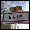 Brie  02 - Jean-Michel Andry.jpg