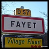 Fayet 02 - Jean-Michel Andry.jpg