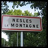 Nesles-la-Montagne 02 - Jean-Michel Andry.jpg