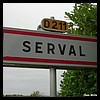 Serval 02 - Jean-Michel Andry.jpg