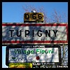 Tupigny 02 - Jean-Michel Andry.jpg