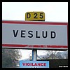 Veslud 02 - Jean-Michel Andry.jpg