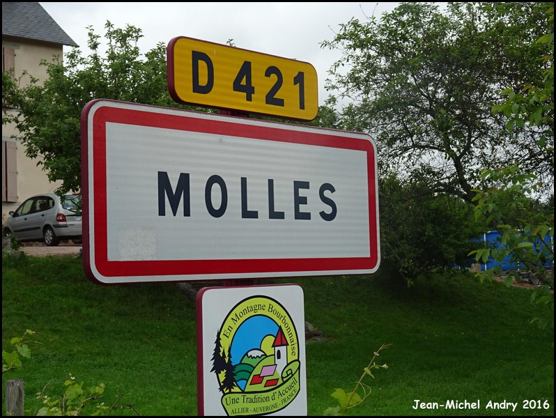 Molles 03 - Jean-Michel Andry.jpg