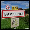 Barberier 03 - Jean-Michel Andry.jpg