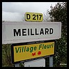 Meillard 03 - Jean-Michel Andry.jpg