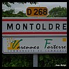Montoldre 03 - Jean-Michel Andry.jpg