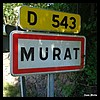 Murat 03 - Jean-Michel Andry.jpg