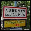 Aubenas-les-Alpes 04 - Jean-Michel Andry.jpg