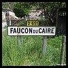 Faucon-du-Caire 04 - Jean-Michel Andry.jpg