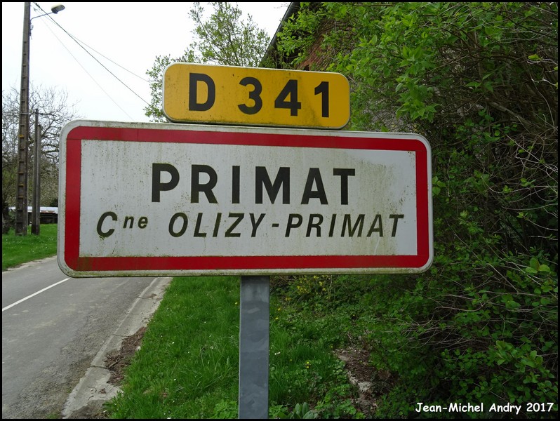 Olizy-Primat 2 08 - Jean-Michel Andry.jpg