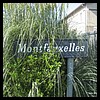 Ardeuil-et-Montfauxelles 2 08 - Jean-Michel Andry.jpg