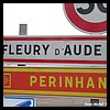 Fleury 11 - Jean-Michel Andry.jpg