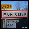 Montolieu 11 - Jean-Michel Andry.jpg