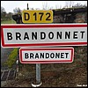 Brandonnet 12 - Jean-Michel Andry.jpg