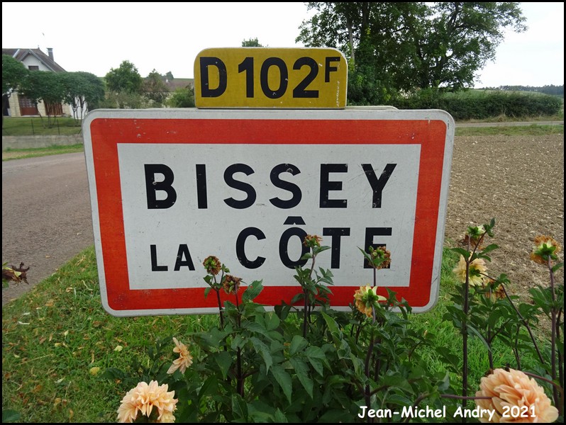 Bissey-la-Côte 21 - Jean-Michel Andry.jpg