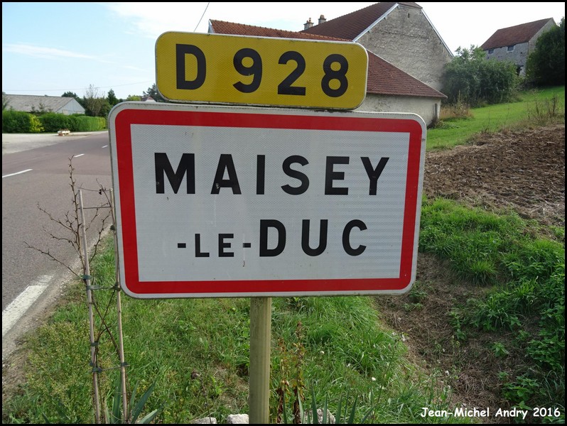 Maisey-le-Duc 21 - Jean-Michel Andry.jpg