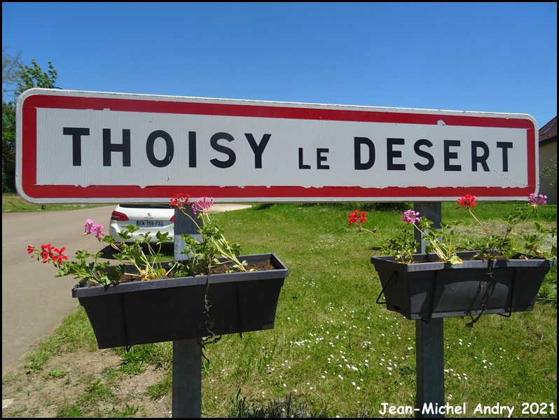 Thoisy-le-Désert 21 - Jean-Michel Andry.JPG