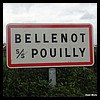 Bellenot-sous-Pouilly 21 - Jean-Michel Andry.jpg