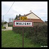Maligny 21 - Jean-Michel Andry.jpg