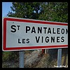 Saint-Pantaléon-les-Vignes 26 - Jean-Michel Andry.jpg