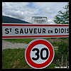 Saint-Sauveur-en-Diois 26 - Jean-Michel Andry.jpg