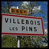 Villebois-les-Pins 26 - Jean-Michel Andry.jpg